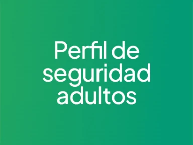Perfiles de seguridad adultos
