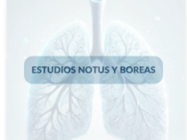 Estudios Notus y Boreas