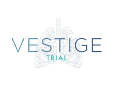 Estudio Vestige