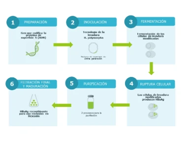 Planta Pilar, Argentina – Cono Sur