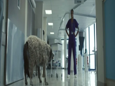 Televizní kampaň Efluelda® - ilustrační video z předchozí sezóny