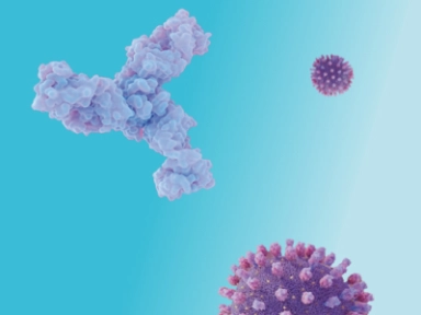 Nirsevimab: Mechanismus účinku