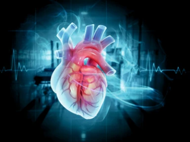 Záznam ze sympozia - 