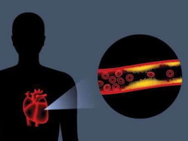 Co přinesl rok 2022 kardiologii?