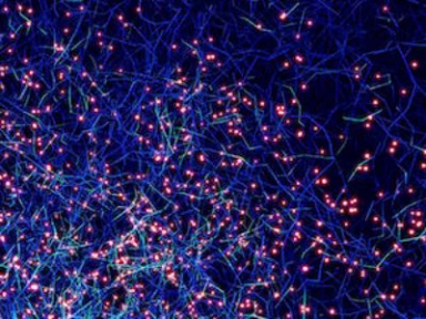 Varovné příznaky trombózy