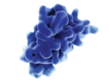 IL-4, IL-13 og il-5 er udslagsgivende faktorer for astma-patofysiologi²⁻⁶