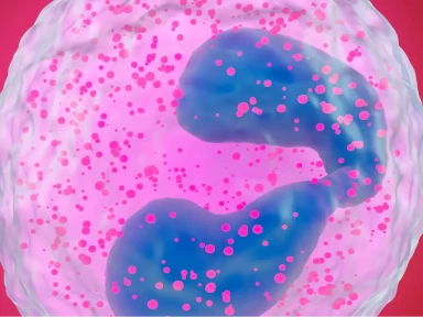 Betydningen af type 2-inflammation*