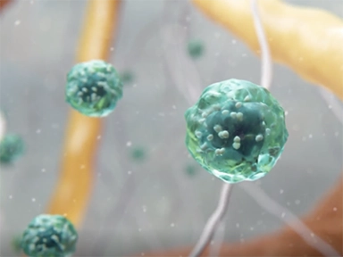 How Dupixent Works in Chronic Spontaneous Urticaria