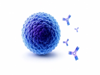   Multiple Myeloma Key Publications