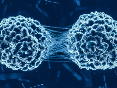 Sarclisa Dosing Calculator & Administration Guide for Newly Diagnosed Multiple Myeloma Patients