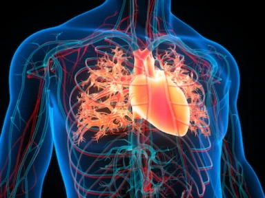 Approach for patients with coronary artery disease (CAD): focus on LDL-C control
