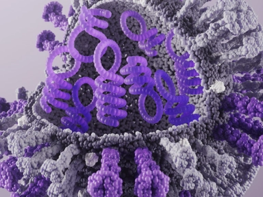 The relative effectiveness of a high dose quadrivalent influenza vaccine versus standard-dose quadrivalent influenza vaccines in older adults in France: a retrospective cohort study during the 2021-22 influenza season 