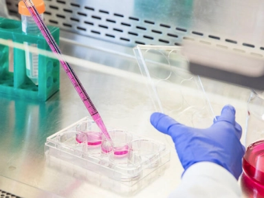 KOL video Prof. Kausik