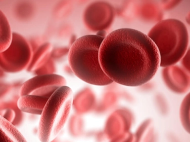 Κατευθυντήριες Οδηγίες