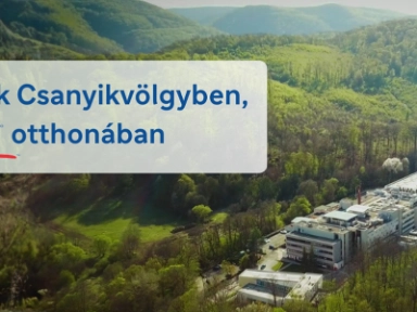 40 év Csanyikvölgy