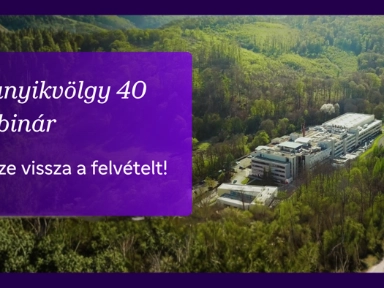 Webinar