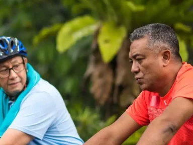 T1DM - Meta-Analysis