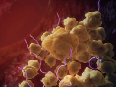 מנגנון הפעולה של קבליבי (קפלסיזומאב 10 מ