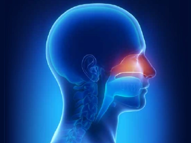 לא גזרת גורל:  דרכים חדשות להתמודדות עם נזאל פוליפוזיס