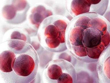 PCSK9 Inhibitors in Real World Practice