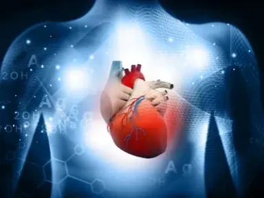 Atherosclerotic Cardiovascular Disease Risk Assessment