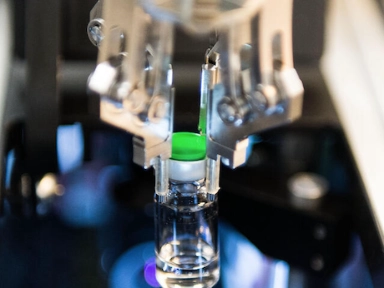 ESC/EAS 2019 International Guidelines