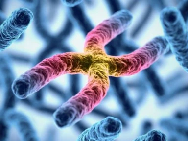 PARKINSON’S DISEASE AND PARKINSONIAN SYNDROME IN GAUCHER DISEASE: AGE-SPECIFIC PREVALENCE DATA FROM THE ICGG GAUCHER REGISTRY