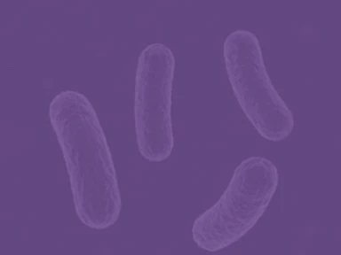 HETEROGENEITY OF GAUCHER DISEASE PHENOTYPES IN PATIENTS WITH THE C.1880T>G (D409H) VARIANT IN GBA1