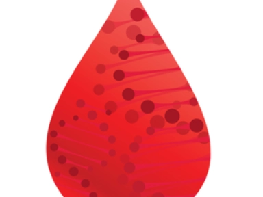 Aplicación EDL Diagnóstico 