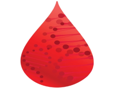 Toma de muestra por venopunción 