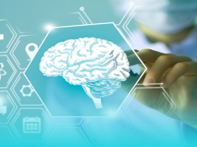 Persistencia y adherencia en DMD 