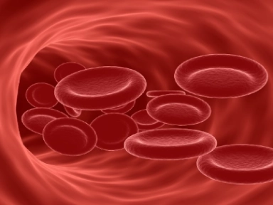 ATGc y Ciclosporina A: anemia aplásica