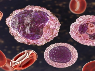 Determinación del fármaco óptimo en la prevención de la EICH