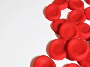 EBMT: Pobres movilizadores