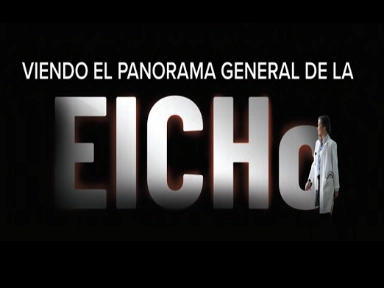 Viendo el panorama general de la EICHc