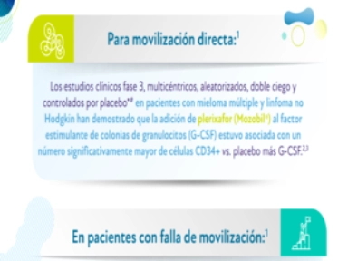 Estudio para la movilización y Mozobil