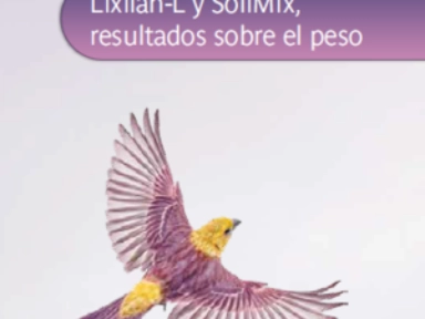 Lixilan-L y SoliMix, resultados sobre el peso