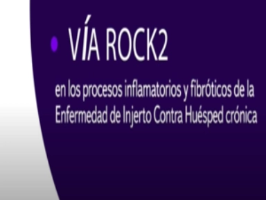 Mecanismo de Acción Enfermedad de Injerto Contra Huésped Crónica (EICHc)