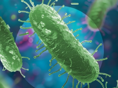 Fiebre tifoidea y los viajes al extranjero