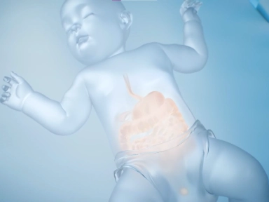 Baby Relief: Mecanismo de acción Bifidobacterium BB-12