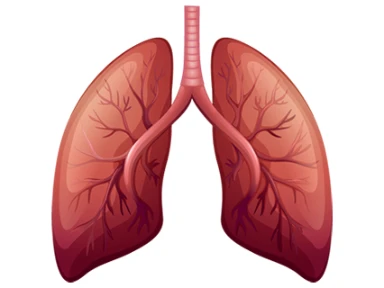 FeNO er en sterk prediktor for eksaserbasjoner 1-*2
