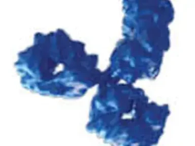 About Type 2 Inflammation – Asthma