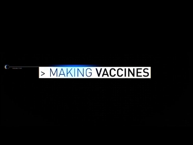 From Lab to Jab: The Journey of Vaccine Creation