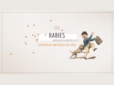 Rabies Video for Travellers