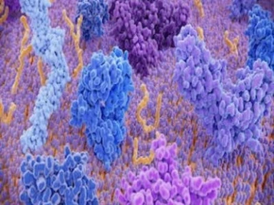 Zapobieganie ŻChZZ u pacjentów z ostrym stanem internistycznym – Prof. Lord Ajay Kumar Kakkar.