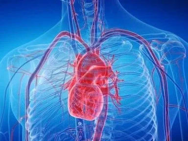 Skale oceny ryzyka ŻChZZ