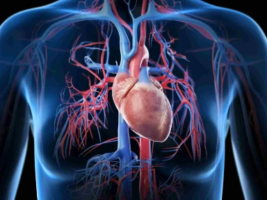 Schematy leczenia hipercholesterolemii i osiąganie docelowego stężenia lipidów