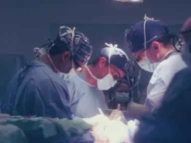 Pulse - kluczowe informacje na temat platformy edukacyjnej