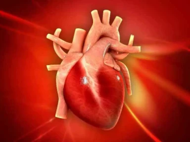 Światowy Dzień Serca