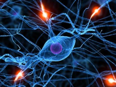 Epidemiologia e Fatores de Risco